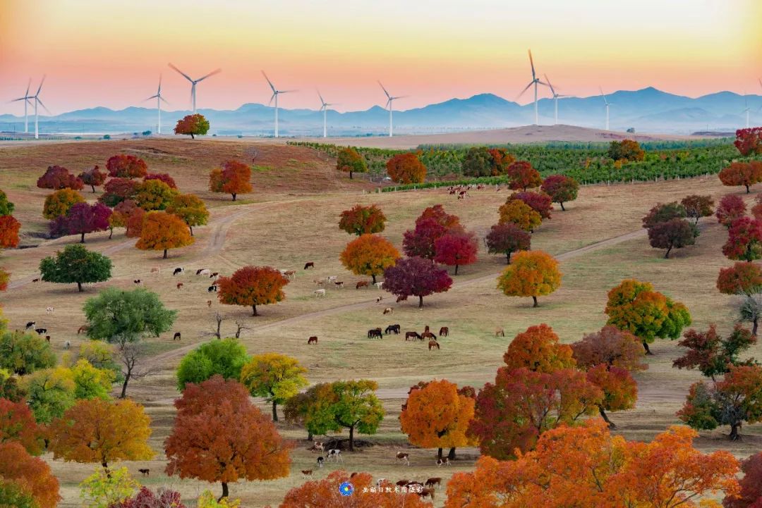 岳额日敦木图:这是美丽家乡科右中旗