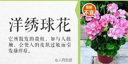 台州人注意！碰了一下就中毒，严重者可致命！这个毒物很多人家里有