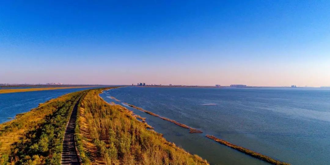 静海区绿化工程,高质量推进生态绿化建设