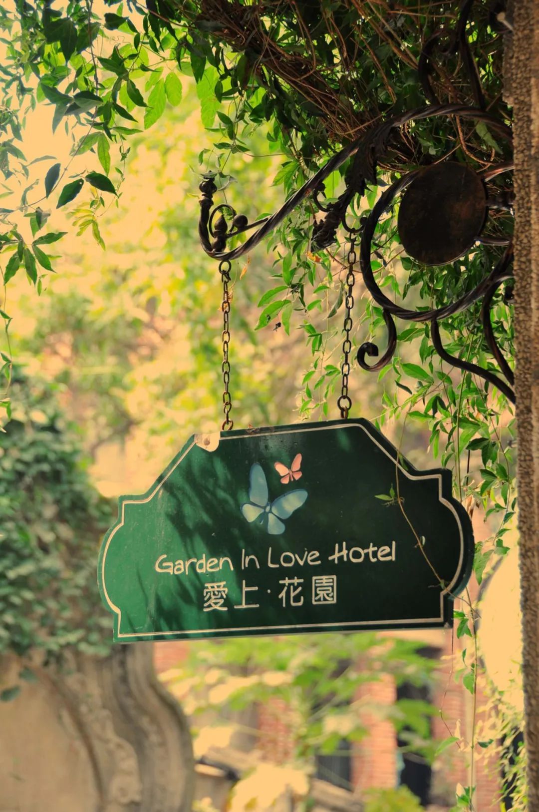 夏天哪个海岛最凉快,高温天气适合去哪旅游