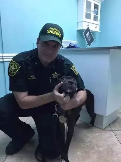 毒品对缉毒犬有没有影响,缉毒犬是不是让它有毒瘾