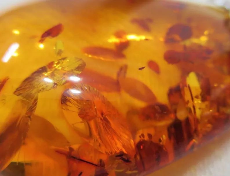 寻香|还原派VS颠覆派？诶呦~想不到这花还有两副面孔！（上）