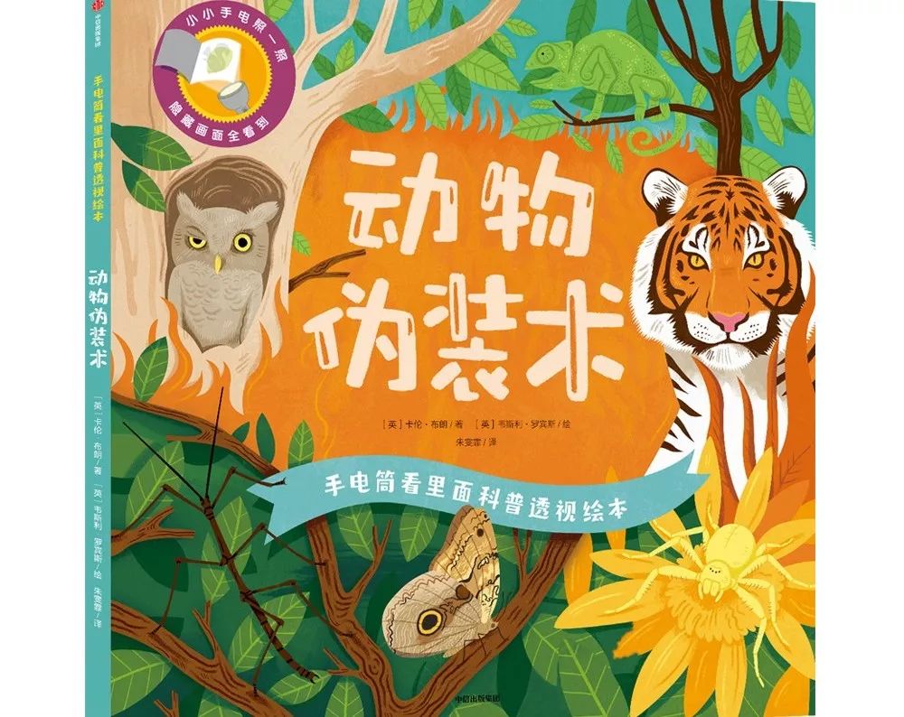 这套火遍全球的绘本教学,这套火遍全球的绘本