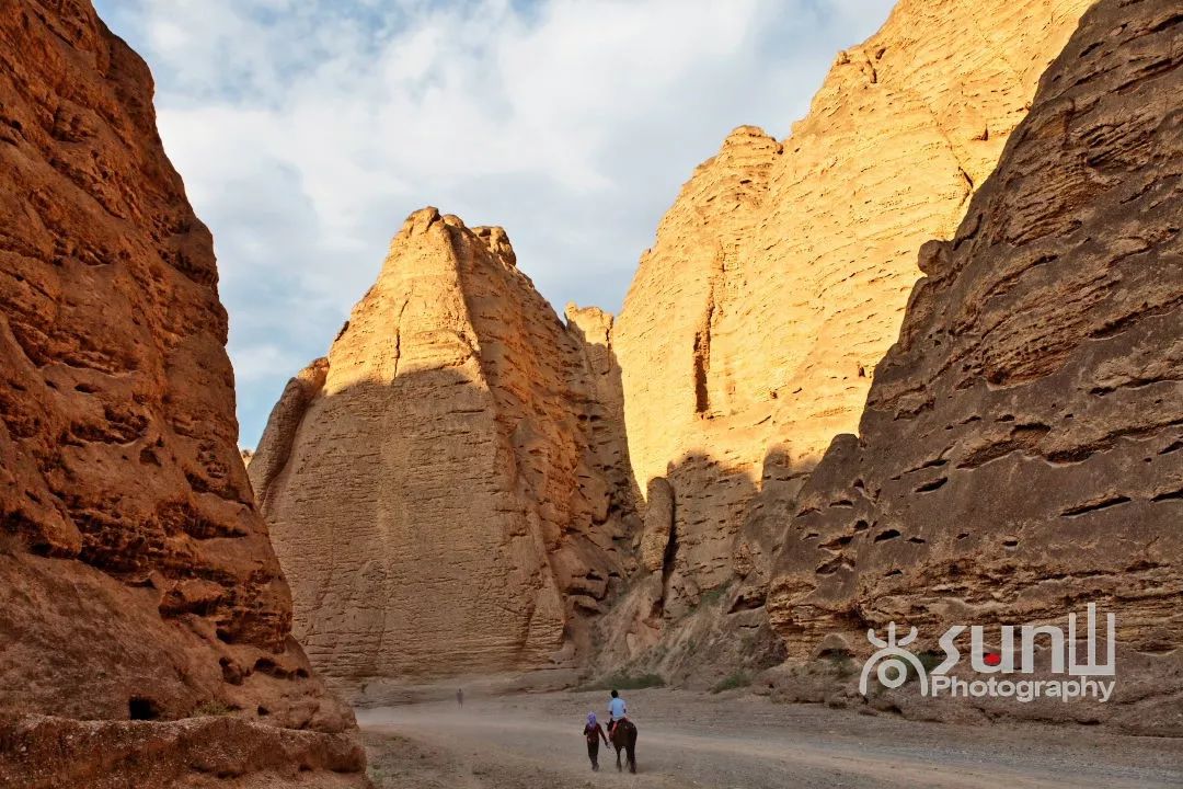 黄河石林奇观大全,黄河石林有多震撼