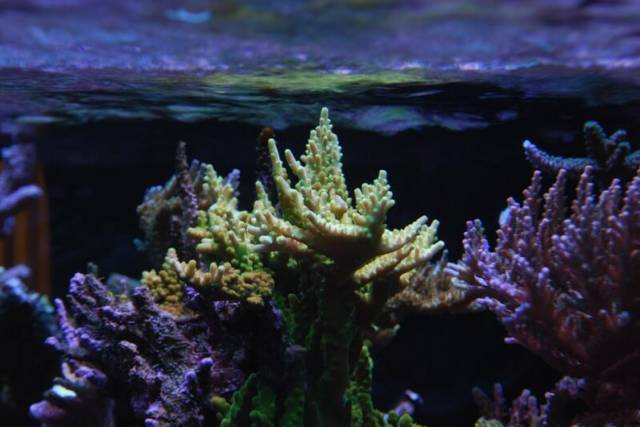 鉴定完毕！这一定是个有钱的主儿