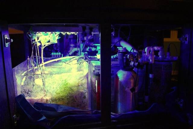 鉴定完毕！这一定是个有钱的主儿