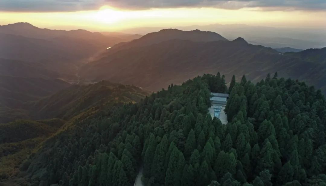 【他山之石】治懒病有良方