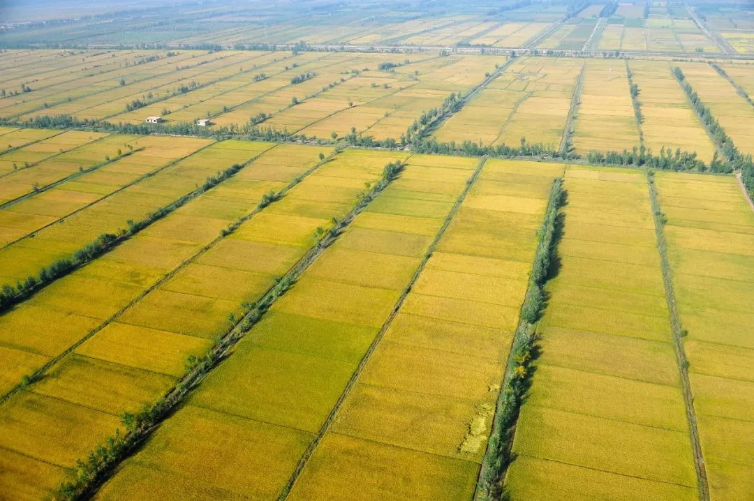 【他山之石】治懒病有良方