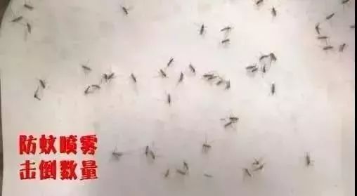 一到夏天，日本1亿家庭都离不开它们！