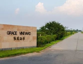 山西省食品品牌企业二十强故事之怡园：每一瓶葡萄酒都值得尊重