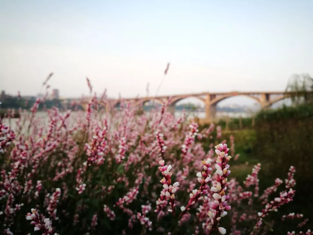 湘潭人居环境排名,湘潭城市环境怎样