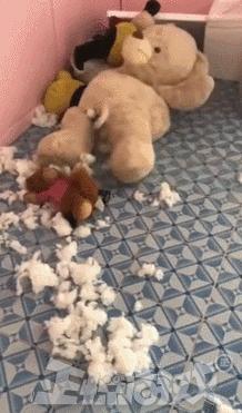 正惊GIF囧图：史上最硬核的学霸，女装大佬是怎么坐地铁的？