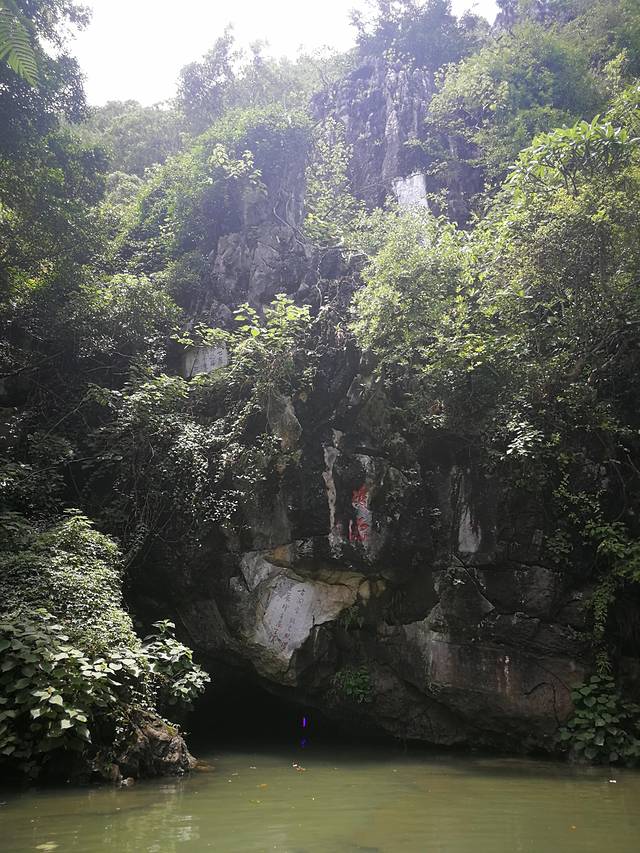 肇庆七星岩鼎湖山自助游,肇庆鼎湖山和七星岩相距多远