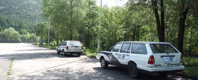 怎么评判女司机,如何看待女司机是马路杀手