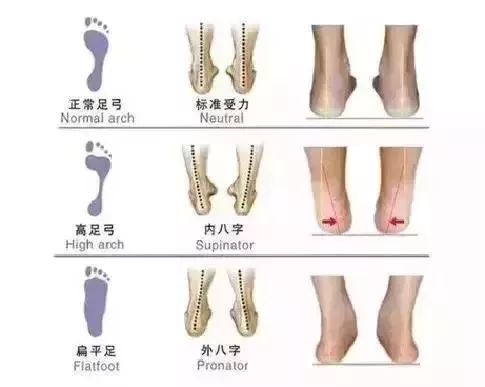 男童凉鞋小蓝羊,小蓝羊海星凉鞋