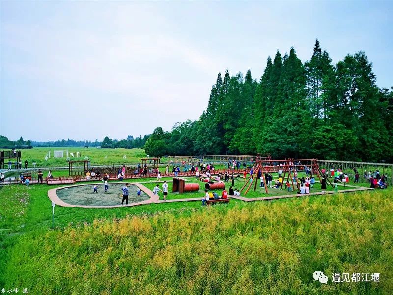 儿童节去哪里好玩,六一都江堰适合1-4岁亲子游的地方