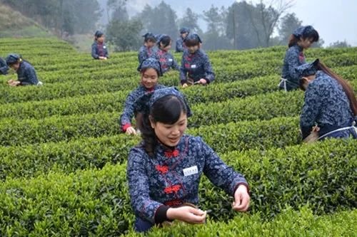 自贡富顺十大特产,自贡十大特产排名