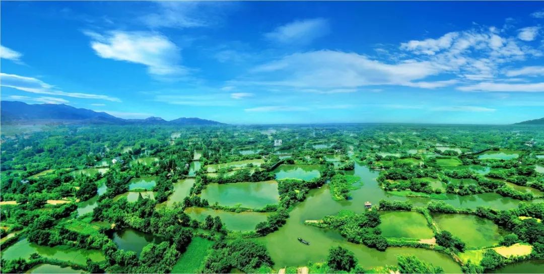 余杭免费的十大景点,老余杭附近游玩免费景点