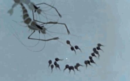 青少年看日本动漫好吗,日本动漫对中国青少年的影响