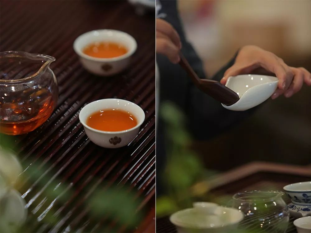 成都五一露营星空云海,云海五一旅游攻略最新