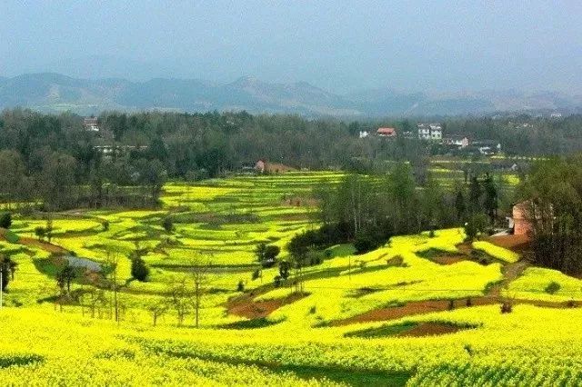 陕西2018年被评全国最美十二个县,陕西最美县域