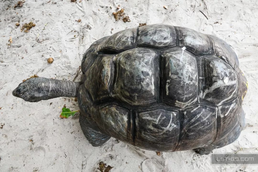 这些海岛人少景美不输马代,马尔代夫一价全包亲子游岛屿推荐