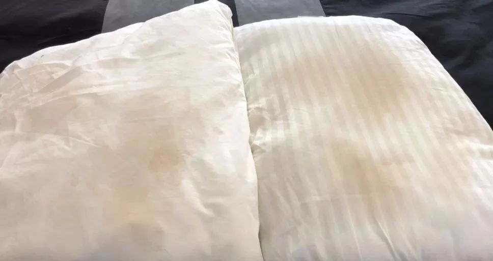 法国Lérane草本净螨贴，萃取天然植物，除螨更安心