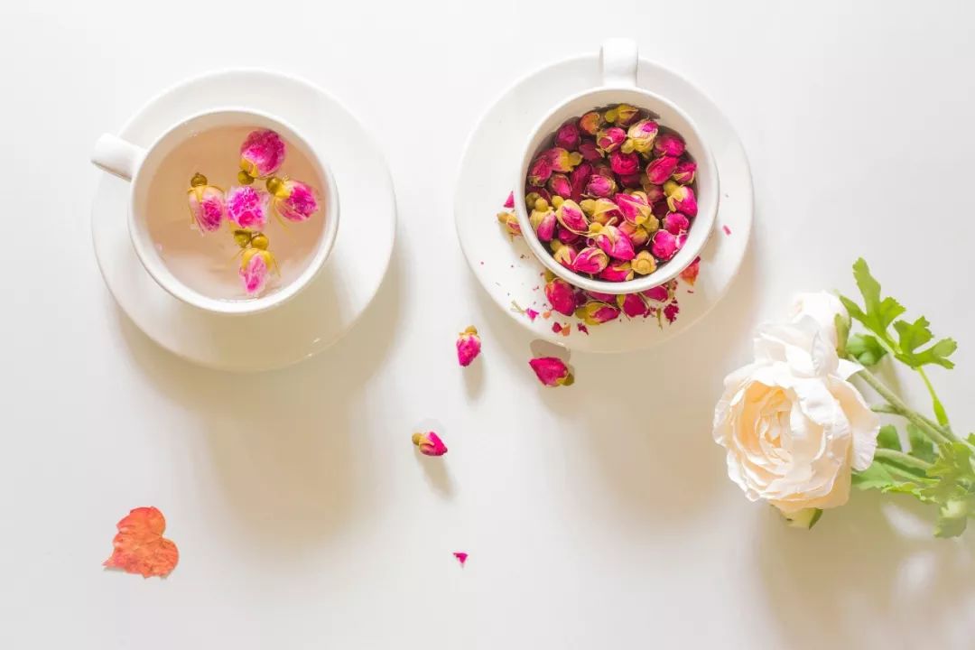 我不介意荆棘是什么意思,我不介意荆棘你是玫瑰原文