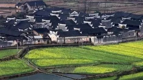 周家大院牡丹,周家大院深谷幽兰