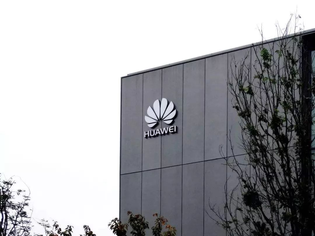 「宏观」光谷与深圳新经济对话——创新不在大树在它脚下的土