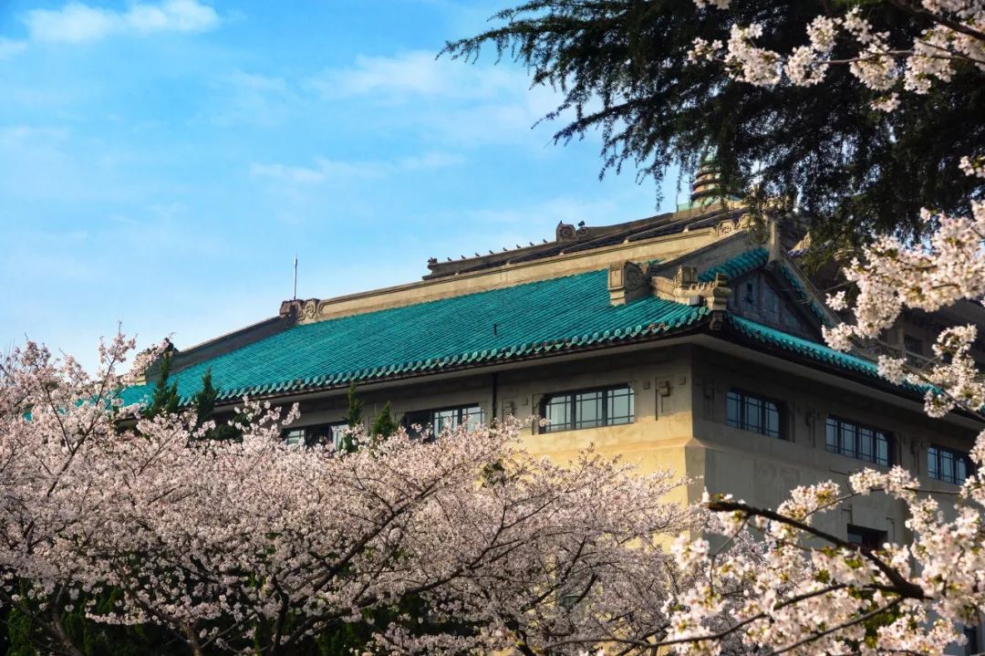 高考在即收下这份考试锦囊,献给高考后学子们的大学攻略