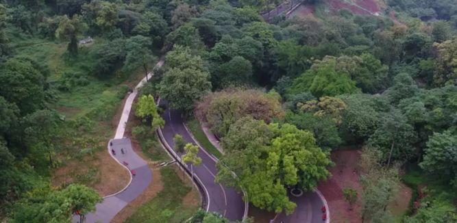 让全民健康动起来有什么办法,让全员动起来