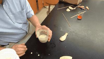 牛皮容易吹爆，但用这种普通食材泡过的气球戳不爆|科学DIY