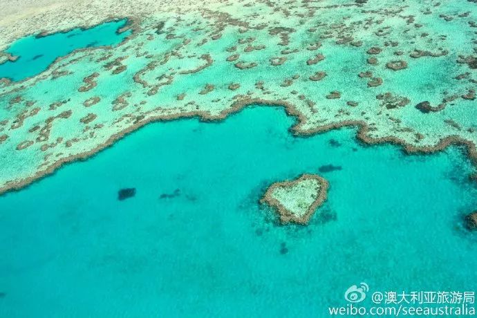 上海直飞三天两晚旅游,上海虹桥飞机能直飞国内哪些地方