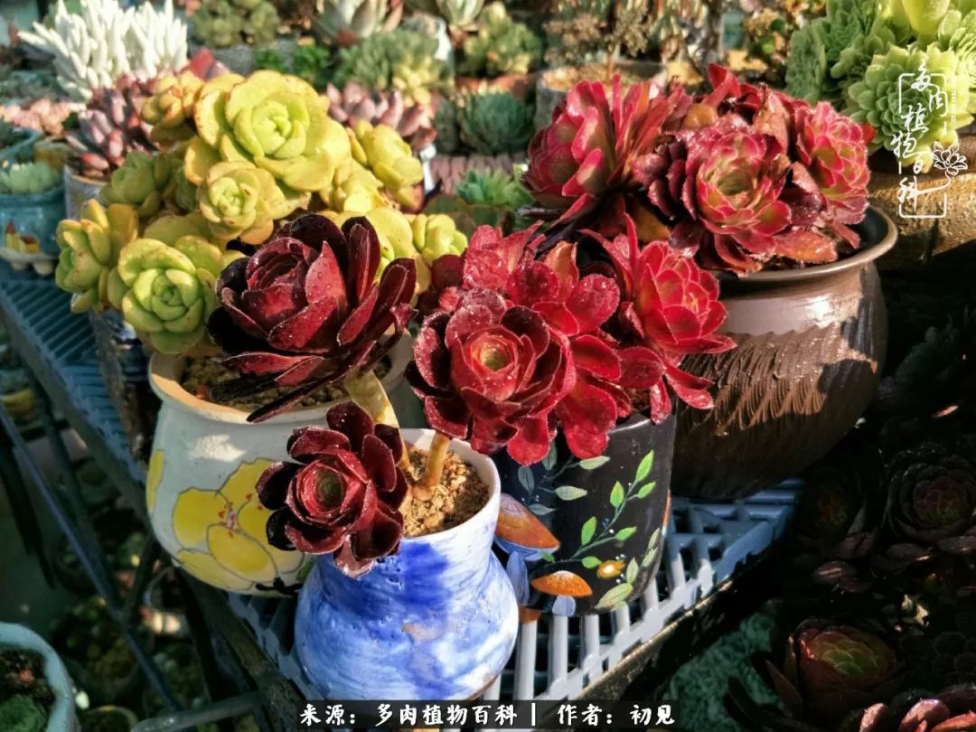 紧张的高三生活也需要适度的放松,紧张焦虑高考