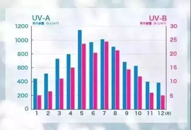 明星们都在用的平价防晒,平价好用又大瓶的防晒