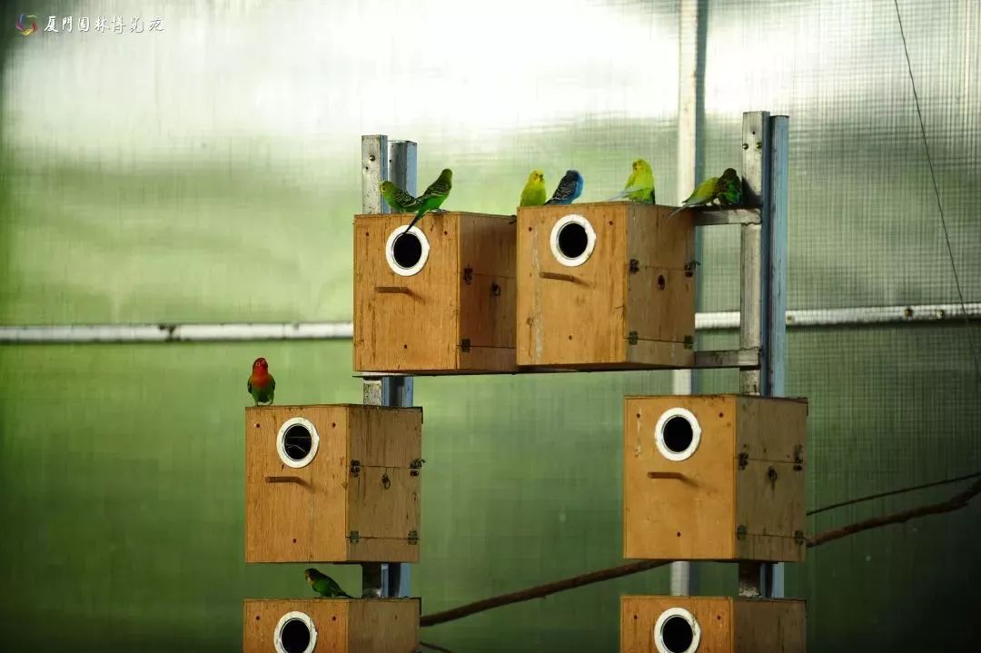 厦门适合带孩子去玩的地方推荐,厦门6月份哪里好玩