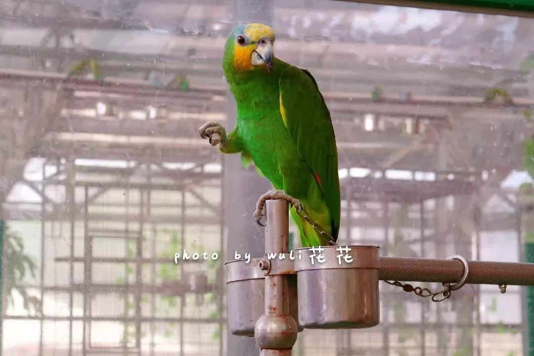 厦门适合带孩子去玩的地方推荐,厦门6月份哪里好玩