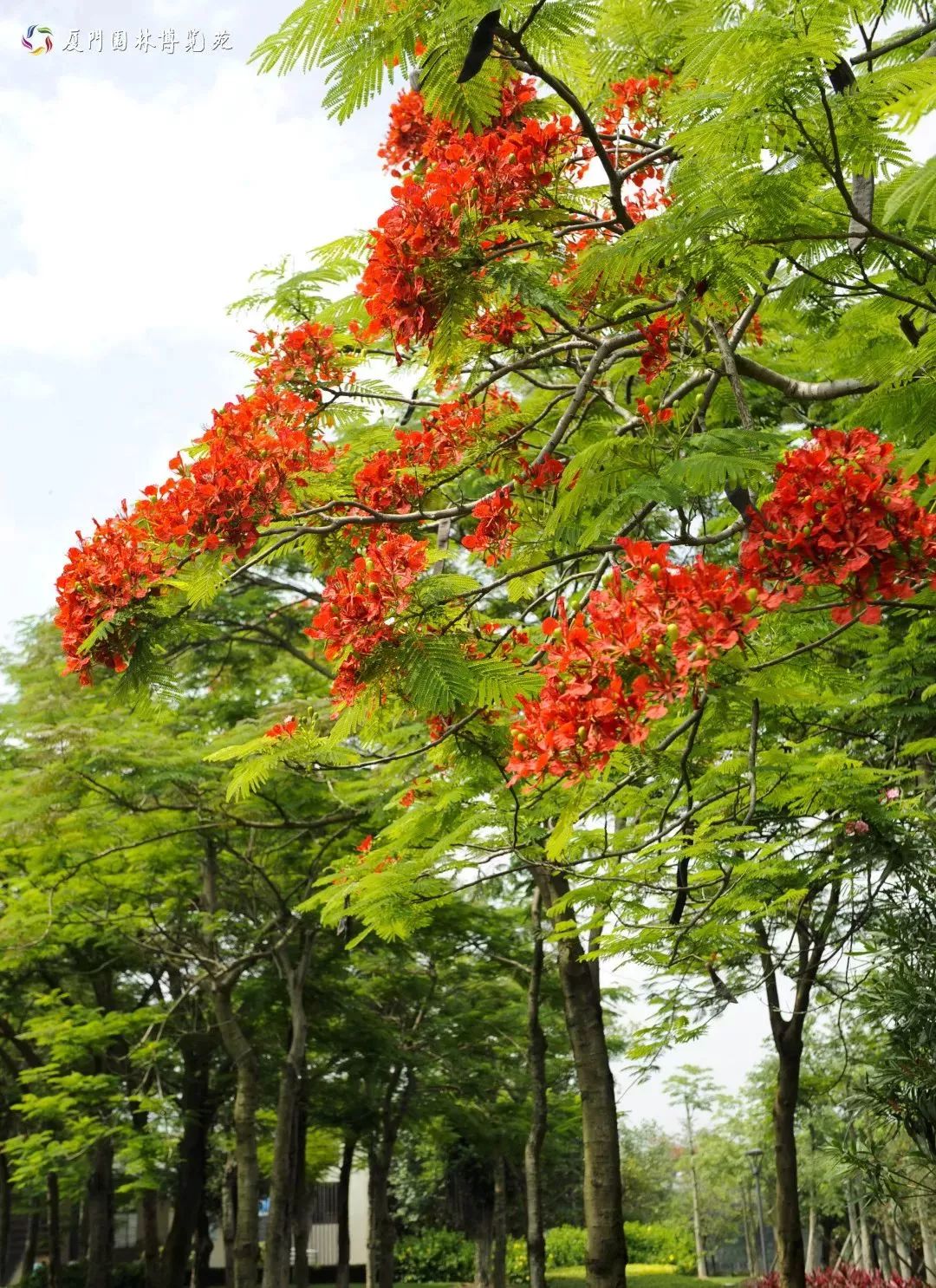 厦门适合带孩子去玩的地方推荐,厦门6月份哪里好玩