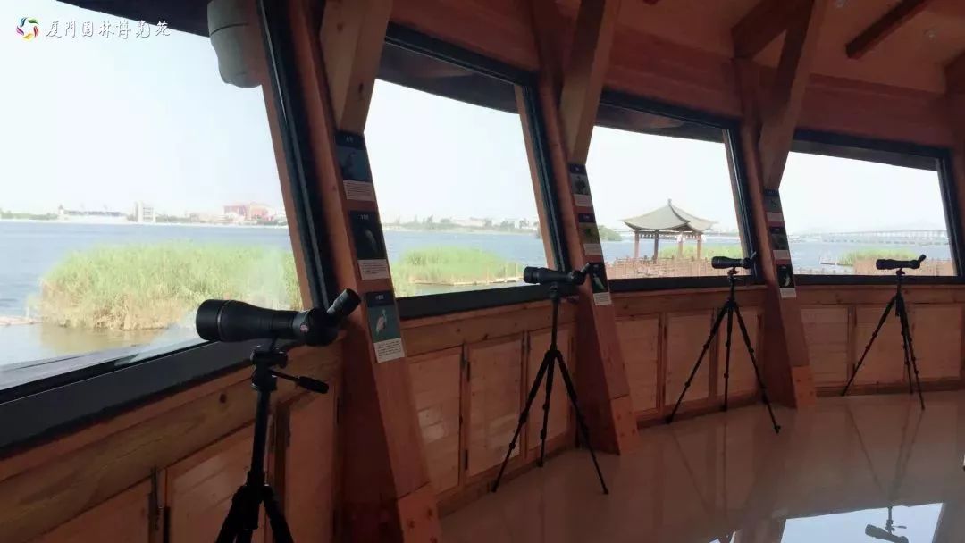 厦门适合带孩子去玩的地方推荐,厦门6月份哪里好玩