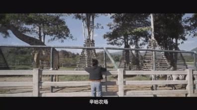 如何在旅行中省钱买到便宜的机票,旅行达人教你如何购买超低价机票