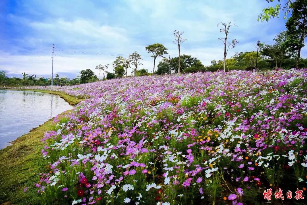 满满的回忆!一组珍贵老照片,带你见证增城变迁!