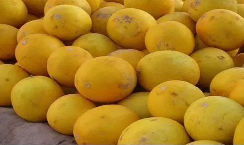 内蒙古有这么多特色之乡,内蒙古长调之乡