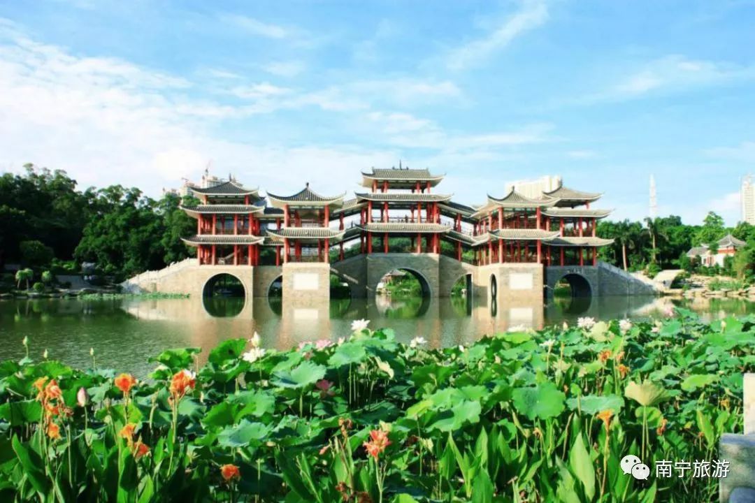 推荐|竹风清爽、碧莲夭夭,一起来南宁狮山公园观赏竹林荷花吧