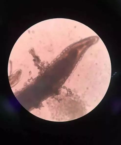 疫情期间家长怎么正确引导孩子,小孩出现四种情况家长要注意了