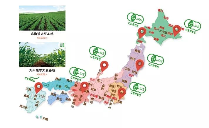 小编推荐一些健康食物,溶栓降脂吃什么好