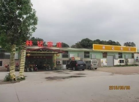 广州花都融创文旅城攻略,广州融创文旅城春节