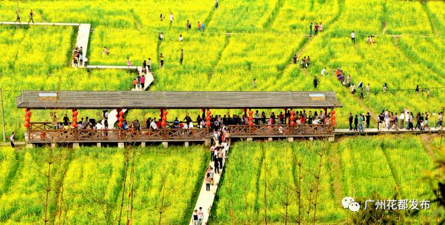 济南融创文旅城开业倒计时36天,广州花都融创文旅城c2区