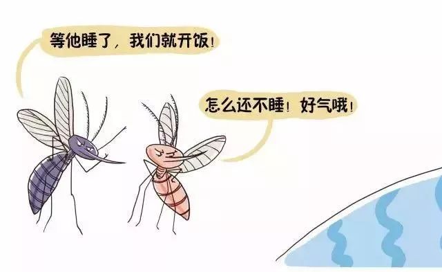 蚊子咬人是不是看血好不好,蚊子咬人看血型么