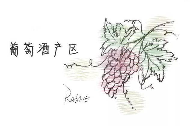 波尔多红酒美景,法国巴黎的红酒